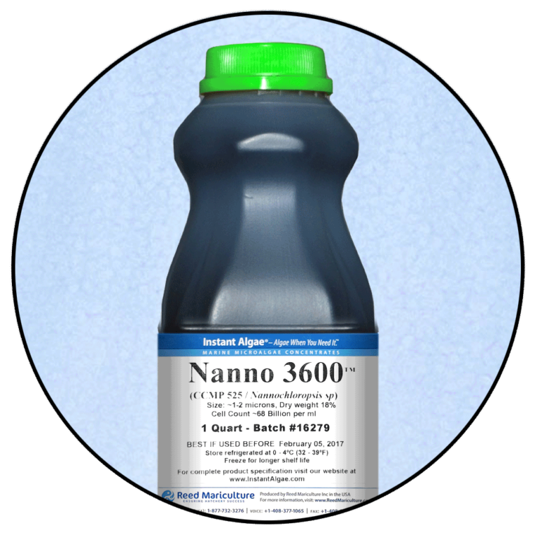 Reed Mariculture Aqua World